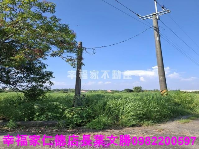 台南新化農地-10