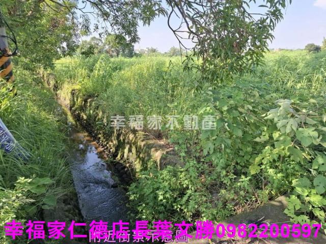 台南新化農地-12