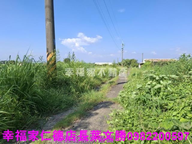 台南新化農地-13