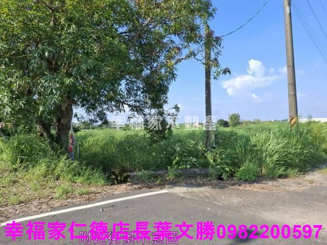 台南新化農地-14