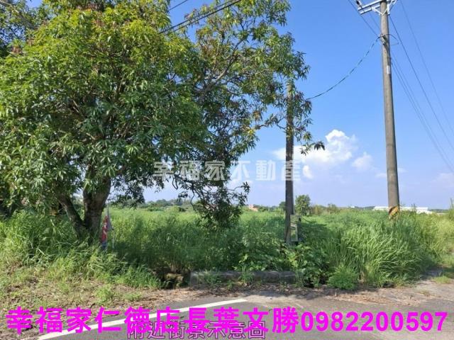台南新化農地-2