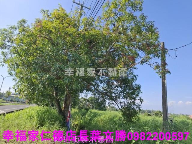台南新化農地-3