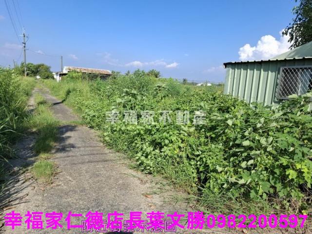 台南新化農地-4