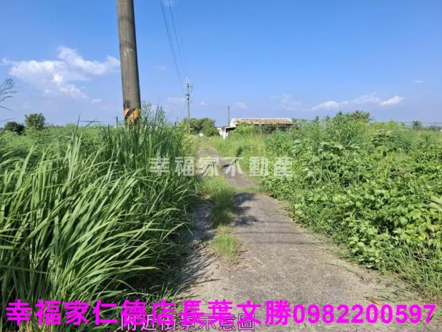 台南新化農地-6