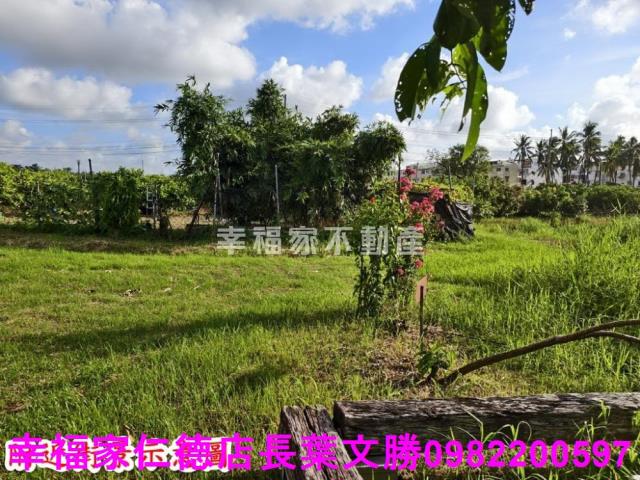 台南歸仁農地-8