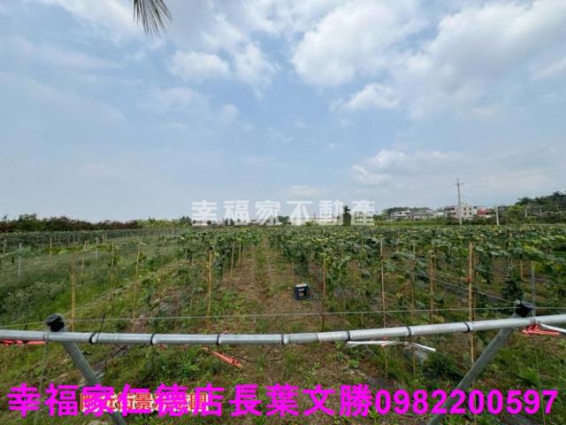 台南柳營農地-11