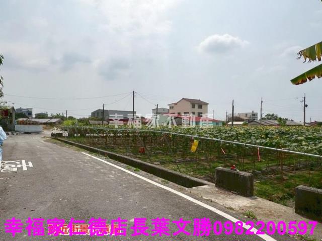 台南柳營農地-12