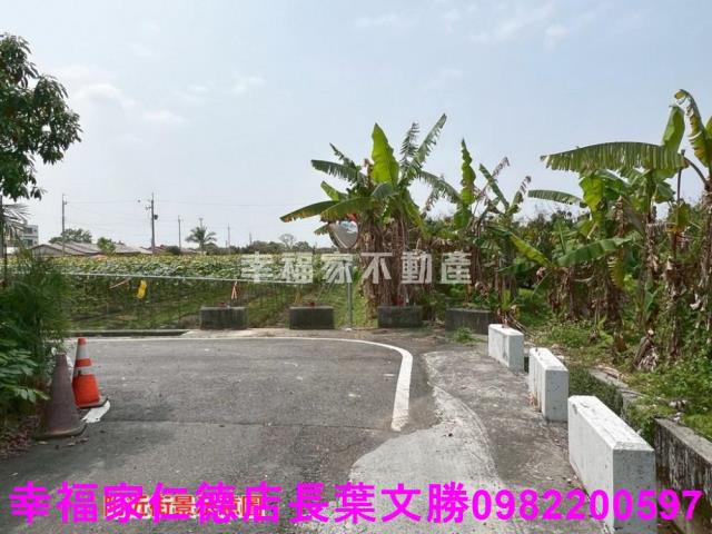台南柳營農地-13