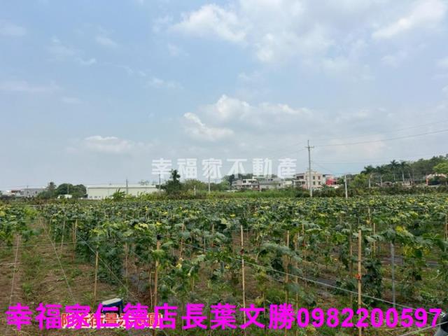 台南柳營農地-14