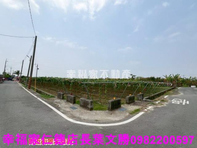 台南柳營農地-0