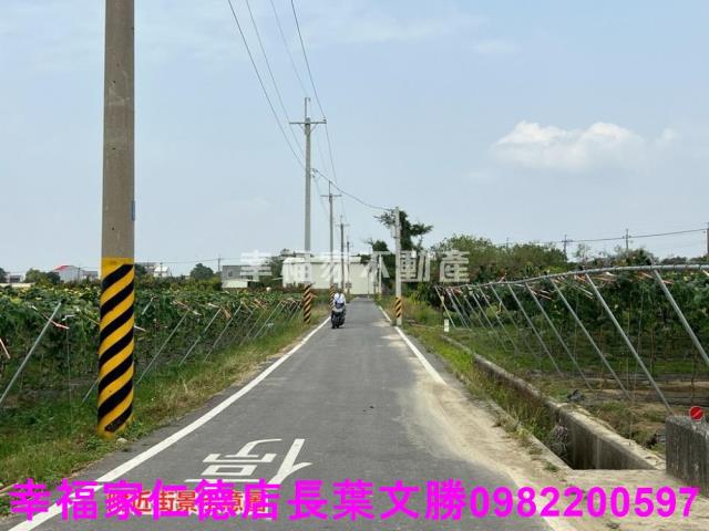 台南柳營農地-1