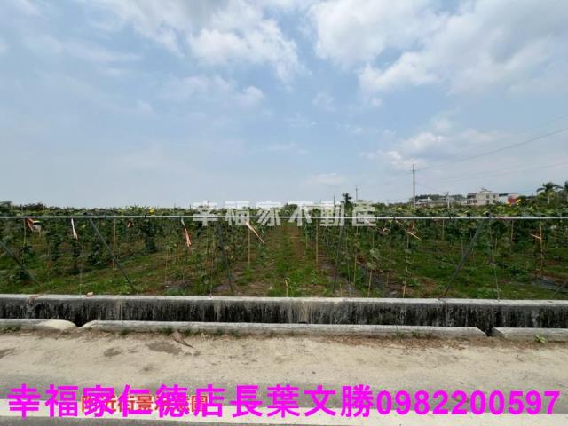 台南柳營農地-3
