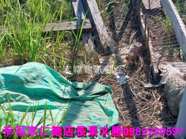 南區農地-4