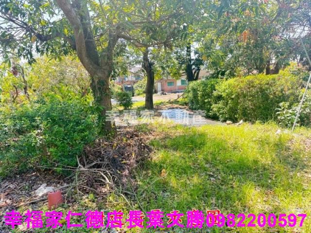 新營建地-2