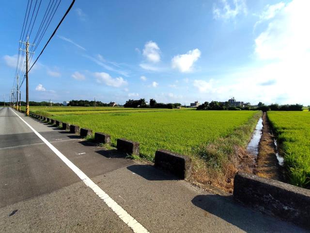 新屋農地-2