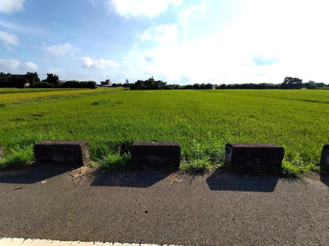 新屋農地-3