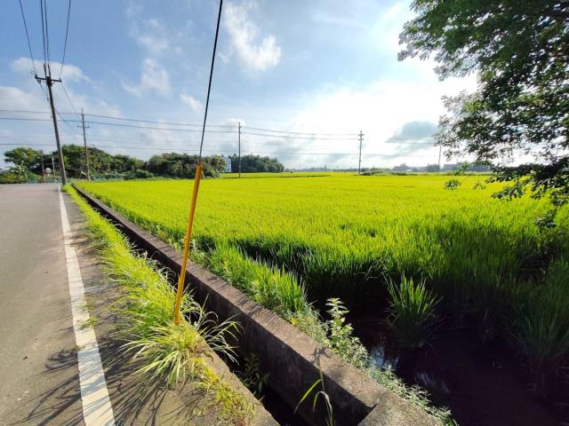 新屋農地-6