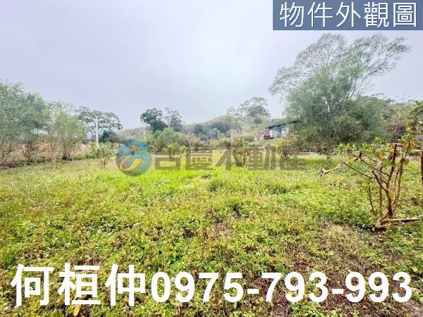 銅鑼農地-0