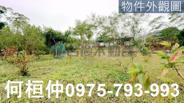 銅鑼農地-1