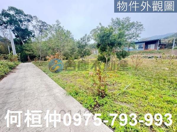 銅鑼農地-4