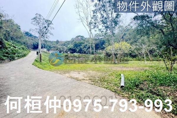 銅鑼農地-3