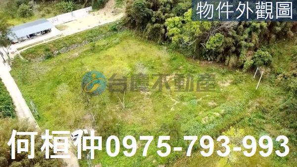 銅鑼農地-4