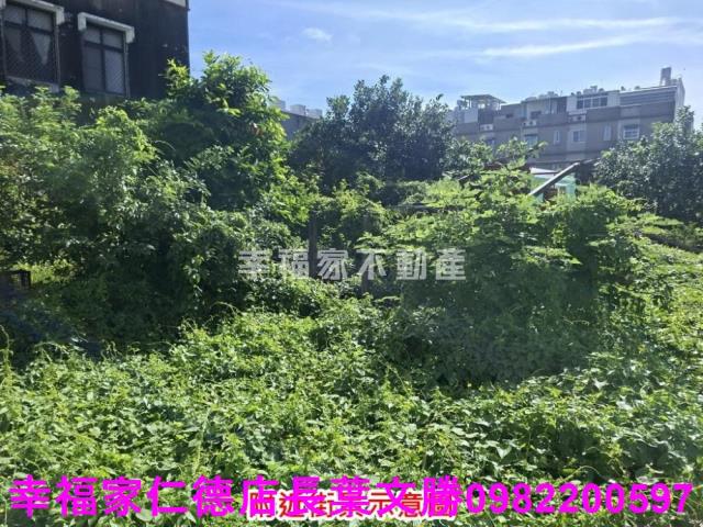 麻豆建地-10