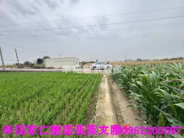 六甲農地-10