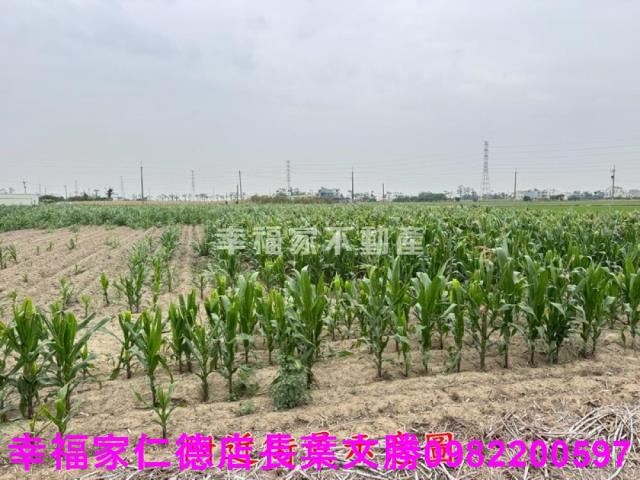 六甲農地-11