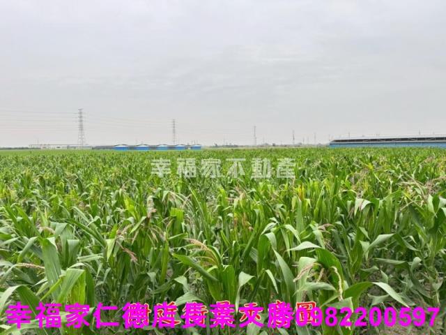 六甲農地-13