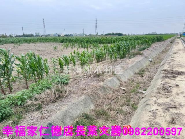 六甲農地-14