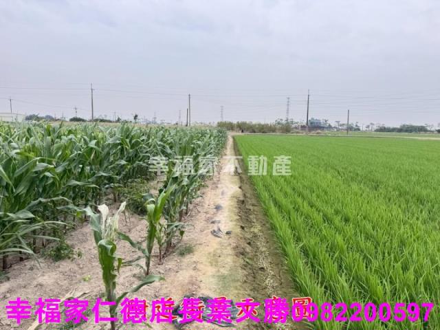 六甲農地-1
