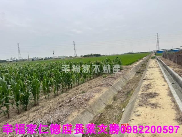 六甲農地-3
