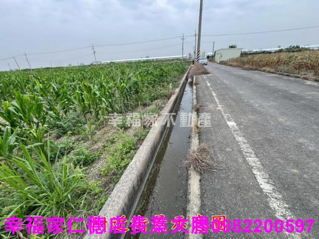 六甲農地-4
