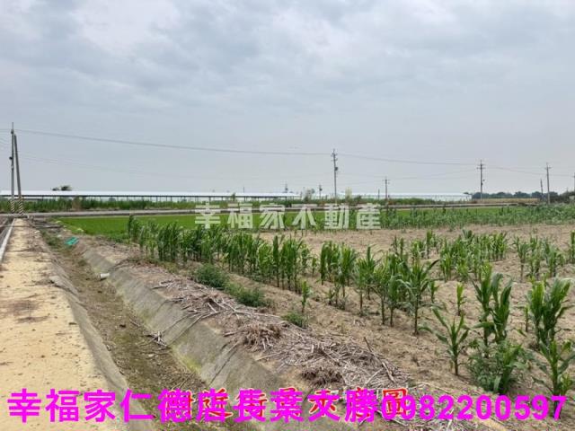 六甲農地-5
