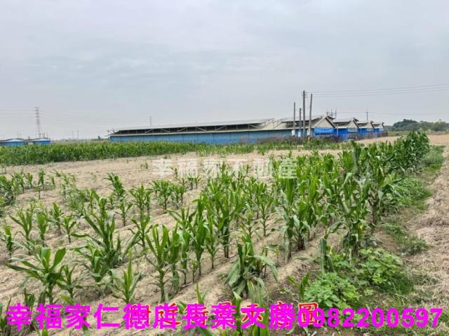 六甲農地-7