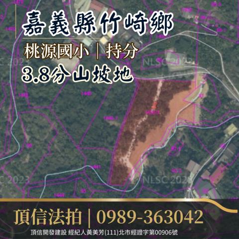 竹崎法拍農地-2
