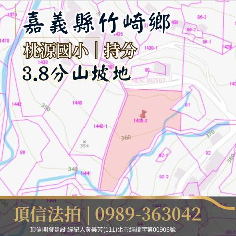 竹崎法拍農地-3