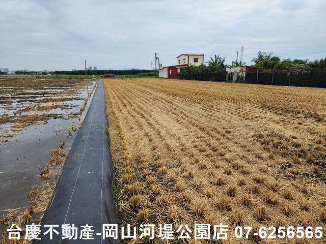 橋頭農地-9