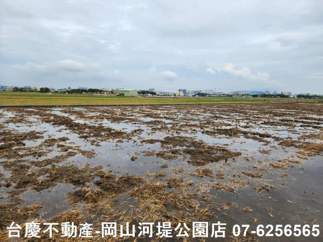 橋頭農地-10