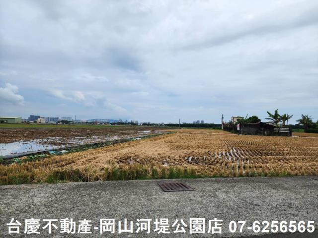 橋頭農地-11