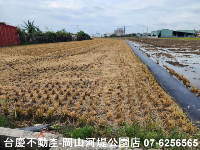 橋頭農地-1