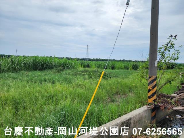 橋頭農地-4