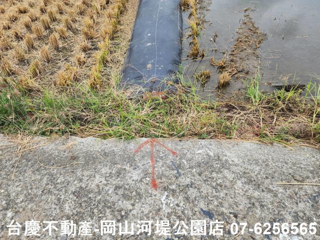 橋頭農地-6