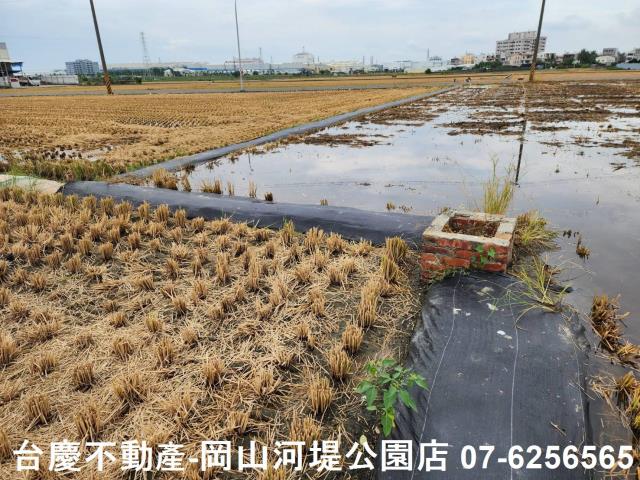 橋頭農地-7