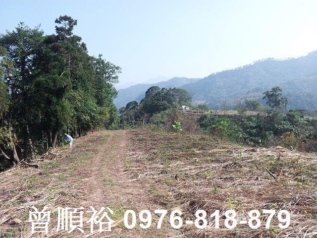 新竹尖石農地-4